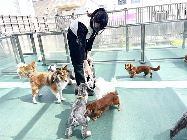 Wan活でお散歩♪